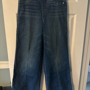SPANX Women's Classic Blue Jeans